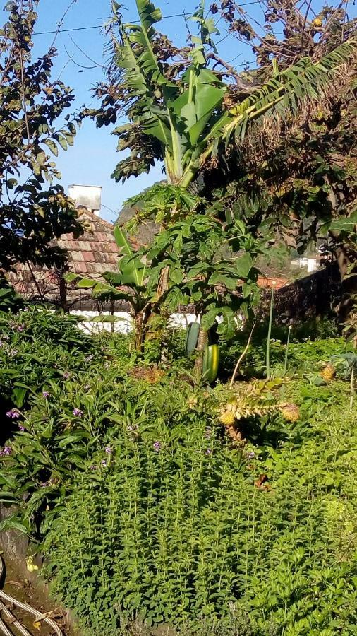 Casa Reizinho Villa Santana  Eksteriør bilde